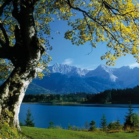 Appartamento Appartementhaus Alpenrose *